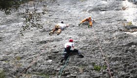 Der rechte Wandbereich ist gut besucht