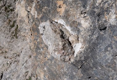 Die neue Tritthilfe (angeklebter Stein) beim ersten Bohrhaken in der Schlüssel-Seillänge des Sas Bece Westgrates.