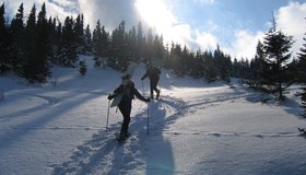 Snowboard