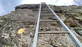 Die lange Leiter auf dem Rabenacksteig in Sankt Goarshausen; Foto: www.hashtag-reiselust.de