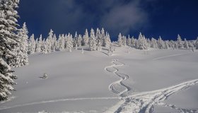 Hinter dem Waldgürtel beim Aufstieg