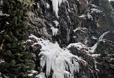 Die Linie von "Spongebob"