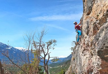 Die Expressschlingen hängen gut am Mosquito Klettergurt.