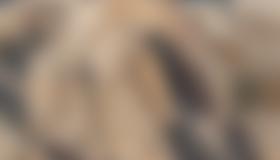 Übersicht Zinnfiziert Westliche Zinne oben (c) Hannes Pfeifhofer 