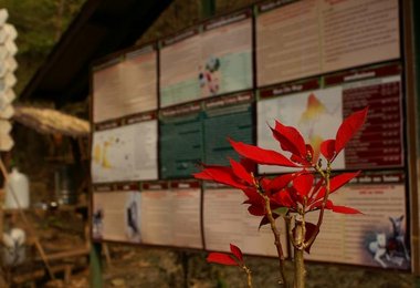 Chiang Mai - Information signs