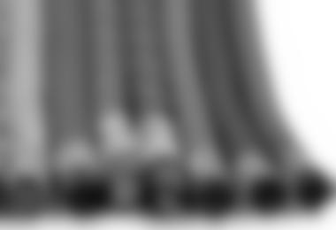 ALPIN Basic: Seile