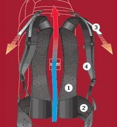 Das ALPIN-BACK Tragesystem