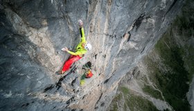 In der Route Katzen, die auf Löcher starren (c) Silvan Metz